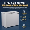 image:imageNewair 67 Cu Ft Chest Freezer with Removable Basket Quiet Deep Freezer Digital Temperature Control Top Open Door Alarm Fast Freeze Mode Compact Freezer Garage Storage Cool GrayCool Gray