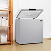 image:imageNewair 67 Cu Ft Chest Freezer with Removable Basket Quiet Deep Freezer Digital Temperature Control Top Open Door Alarm Fast Freeze Mode Compact Freezer Garage Storage Cool GrayCool Gray